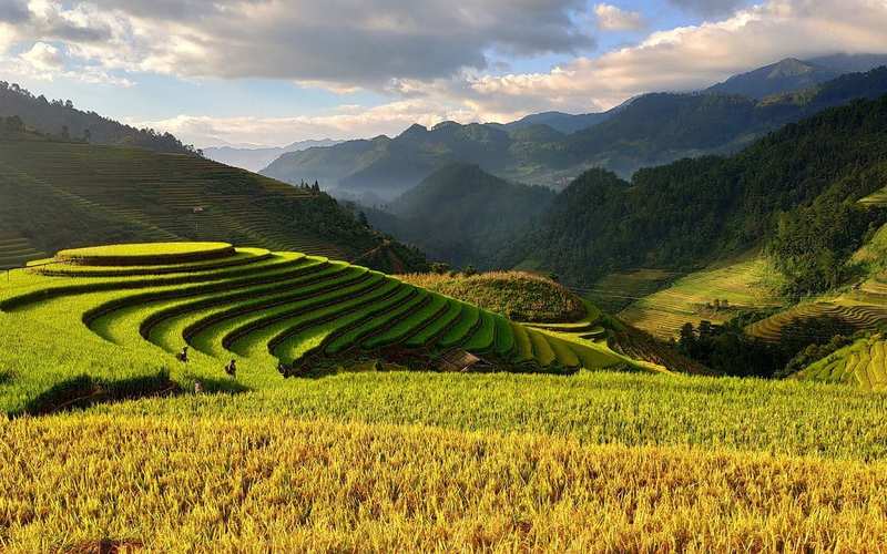 Vietnam